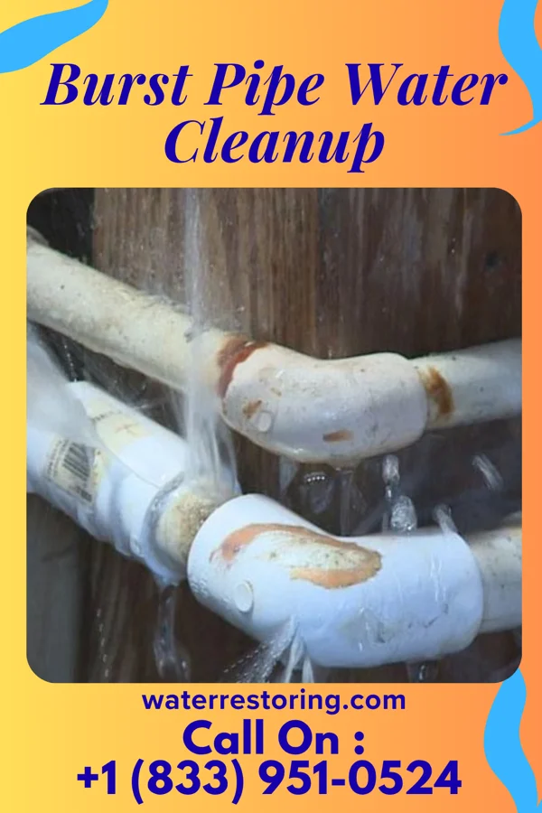 Burst Pipe Water Cleanup in Morristown, SD