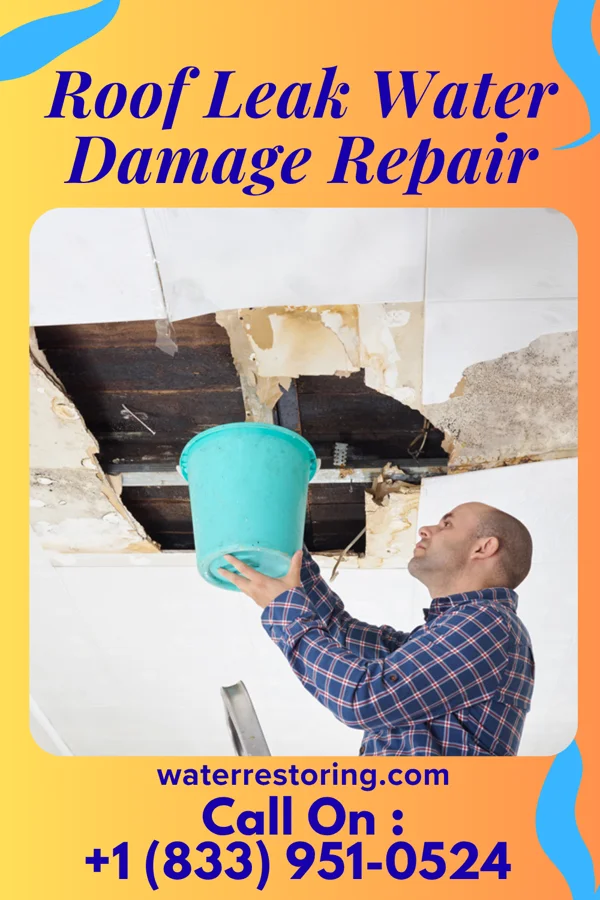 Roof Leak Water Damage Repair in Morristown, SD