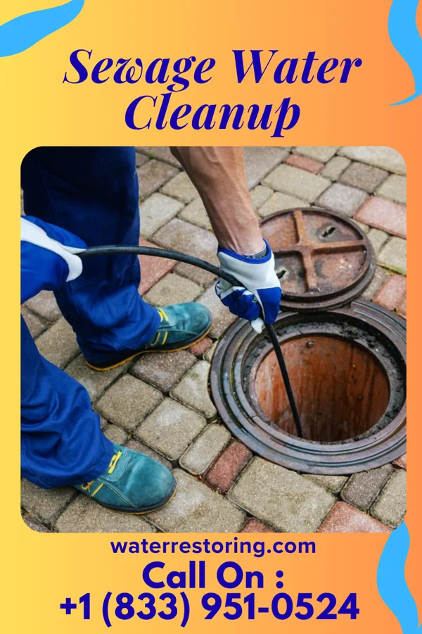 Sewage Water Cleanup in Morristown, SD